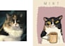 draw your cat portrait drinking coffee